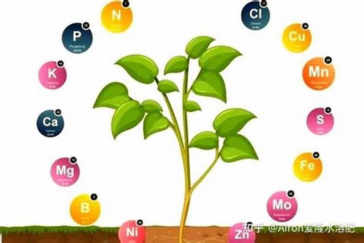 微量元素与作物品质有什么关系？
