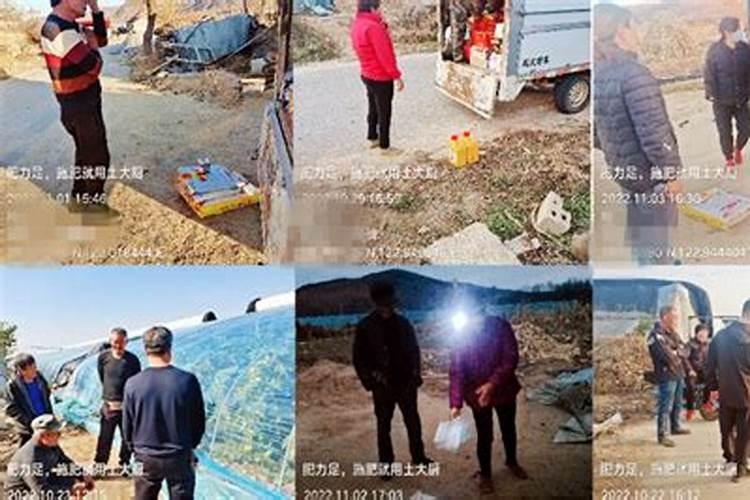 水溶肥带我走上逆袭之路,经销商自述