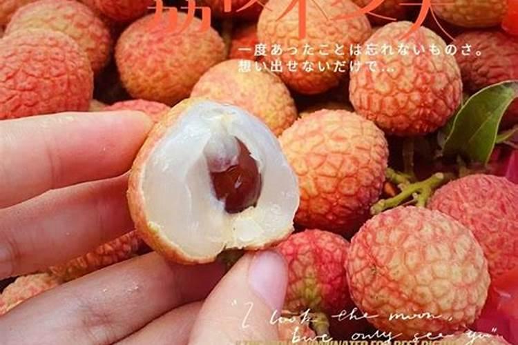 妃子笑荔枝11月嫩叶还没转绿如何处理？